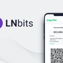 add lightning payments to your invoices using lnbits